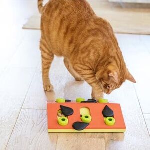 Nina Ottosson by Outward Hound Melon Madness Puzzle & Play Cat Toy